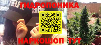 крисы Обь