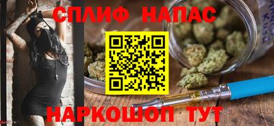 крисы Обь