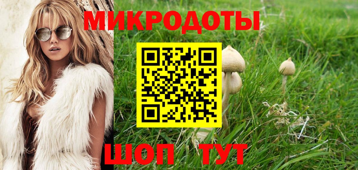 Псилоцибиновые грибы Cubensis Рязань
