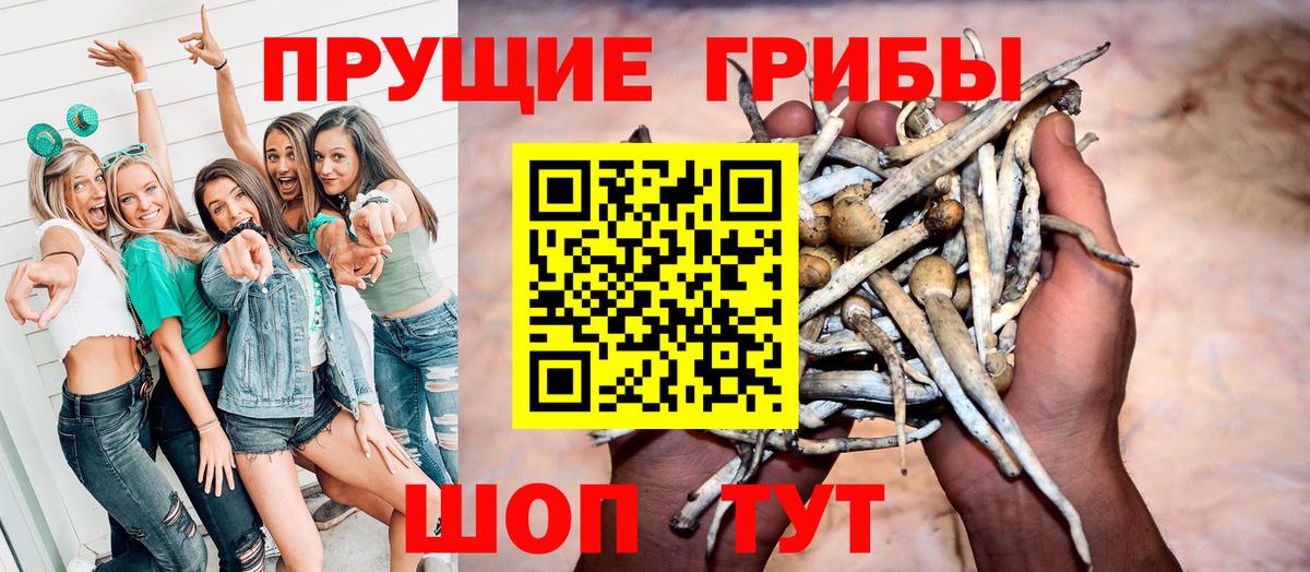 Рязань  Галлюциногенные грибы GOLDEN TEACHER  Вход с VPN  Псилоцибиновые грибы MAGIC MUSHROOMS 
